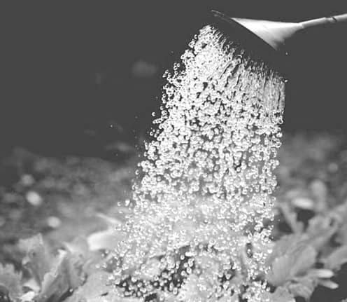 Bildschirmfoto 2023-03-26 um 16.49.02