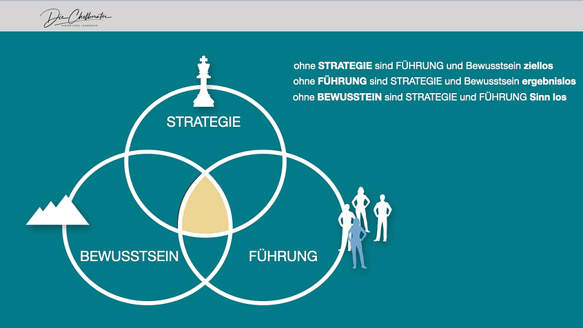 Organisationsentwicklung Beratung Stuttgart, München, Die Chefberater